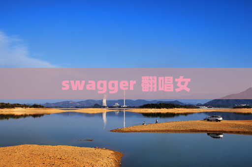 swagger 翻唱女